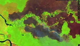 Tecnologia e fiscalização fortalecem proteção ambiental e reduzem focos de...