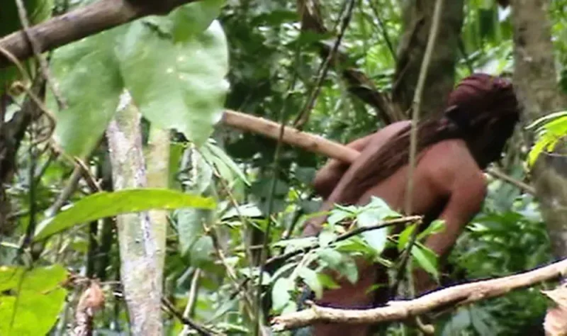 Terra onde 'Índio do Buraco' viveu isolado por décadas vira parque nacional em Rondônia