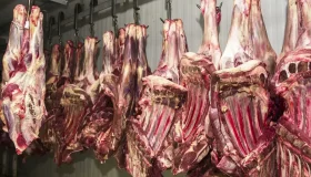 União Europeia oficializa veto à carne brasileira a partir de setembro