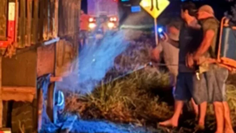 Foto 1 da matéria: VÍDEO: Incêndio quase destrói caminhão boiadeiro na BR-429, próximo a Alvorada do Oeste