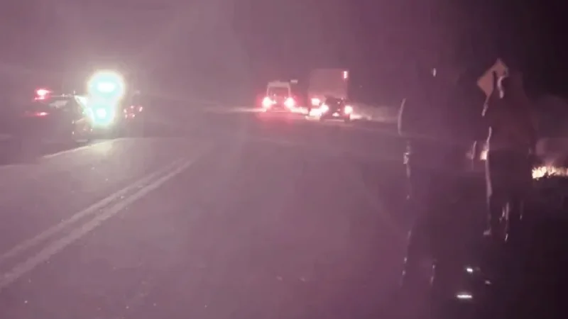 Foto 2 da matéria: VÍDEO: Incêndio quase destrói caminhão boiadeiro na BR-429, próximo a Alvorada do Oeste