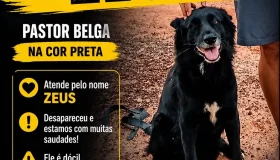 Zeus está desaparecido em Rolim