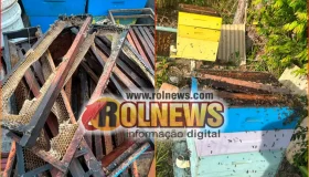 Apicultor tem 120 quilos de mel furtados e estima prejuízo de R$ 8 mil em...