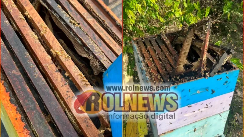 Foto 1 da matéria: Apicultor tem 120 quilos de mel furtados e estima prejuízo de R$ 8 mil em Rolim de Moura