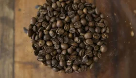 EUA impõem tarifa de 25% ao Brasil, mas poupam agro