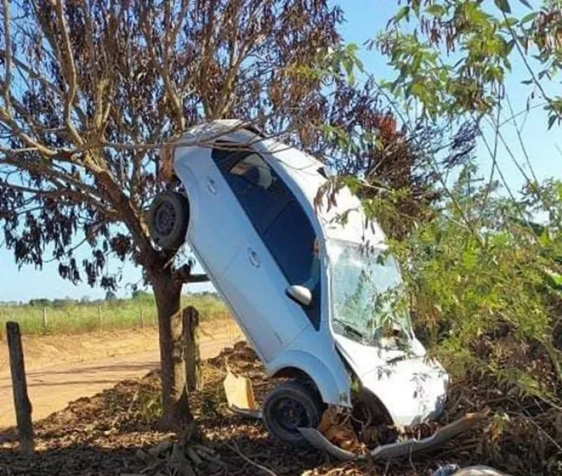 Inusitado: Carro 'sobe' em árvore após motorista perder o controle em acidente no distrito de Santana do Guaporé