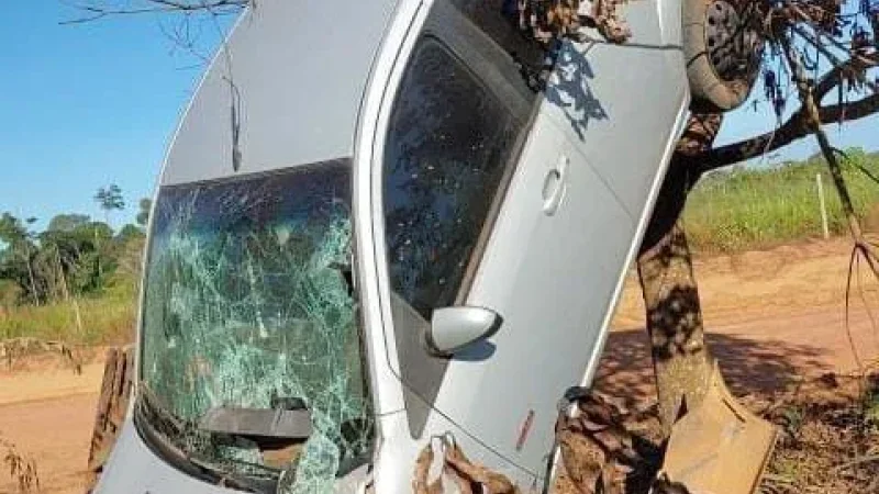Foto 1 da matéria: Inusitado: Carro 'sobe' em árvore após motorista perder o controle em acidente no distrito de Santana do Guaporé