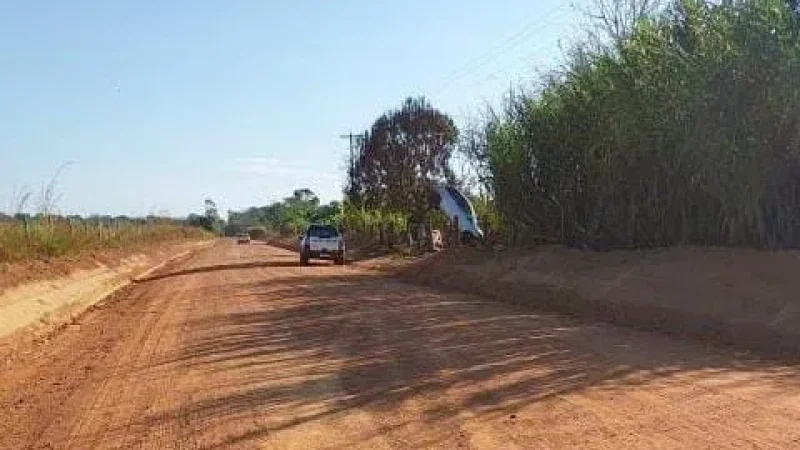 Foto 2 da matéria: Inusitado: Carro 'sobe' em árvore após motorista perder o controle em acidente no distrito de Santana do Guaporé