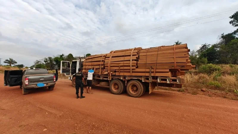 Operação Acesso Facilitado investiga exploração ilegal de madeira e minérios em Rondônia