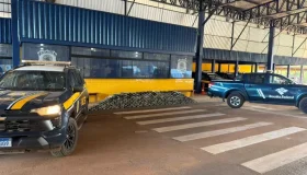 Operação da PRF e Receita Federal apreende 462 kg de drogas escondidos em...