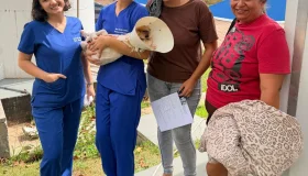 Rolim: Mutirão de castração da UNIR atende 48 animais