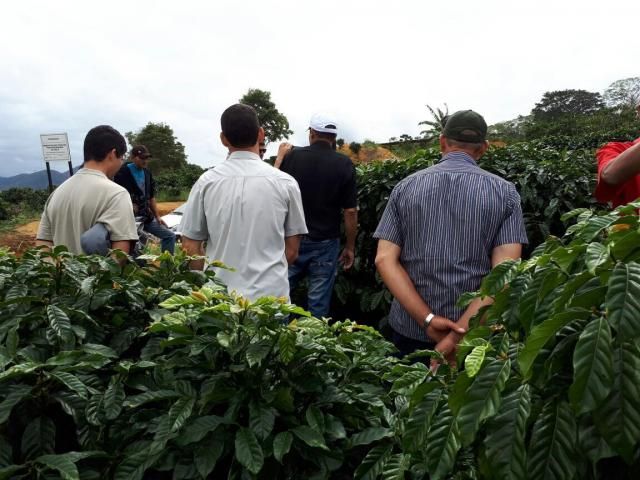 Produtor rural de Rondônia apresenta safra de café surpreendente