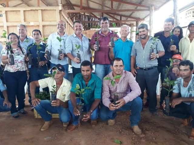 Agricultores de São Miguel do Guaporé recebem 100 mil mudas de café clonal