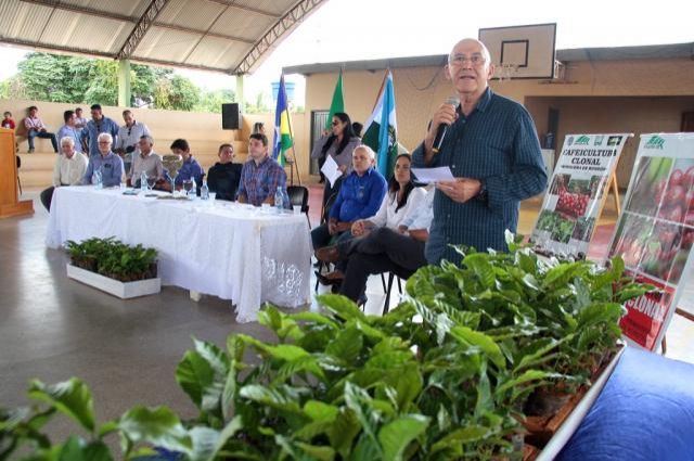 Primavera de Rondônia recebe mais 180 mil mudas de café clonal e eleva lavoura para 400 hectares plantados