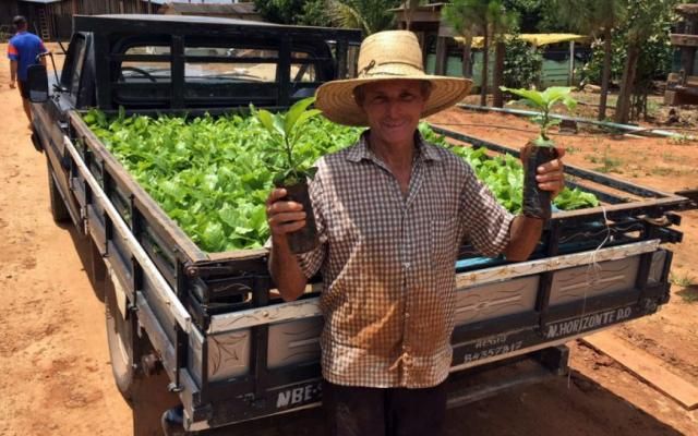 Distribuição de mudas incentiva produtores a investir na lavoura de café clonal na Zona da Mata