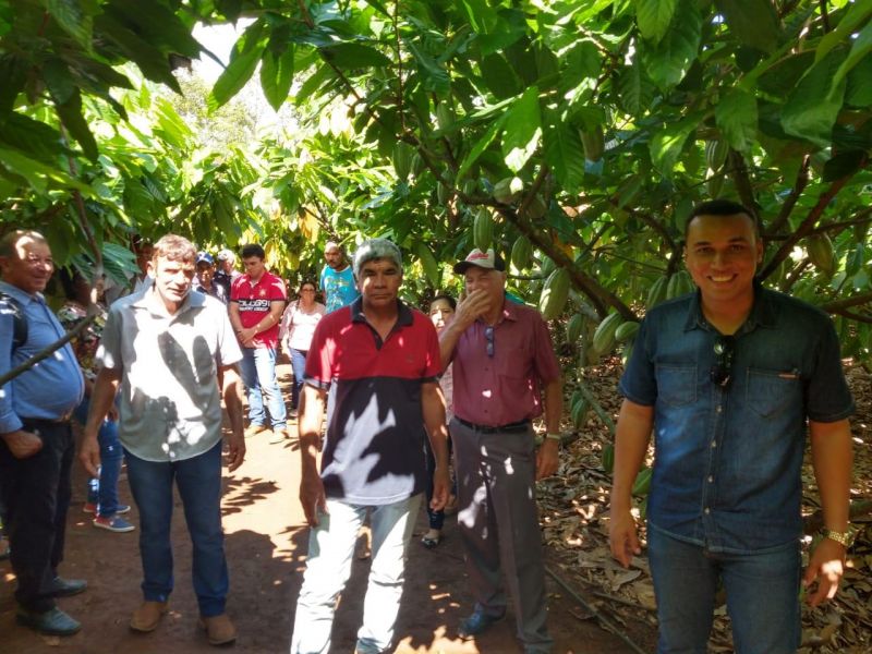 Para aumentar produção de Cacau Clonal, produtores de Rolim de Moura fazem excursão técnica