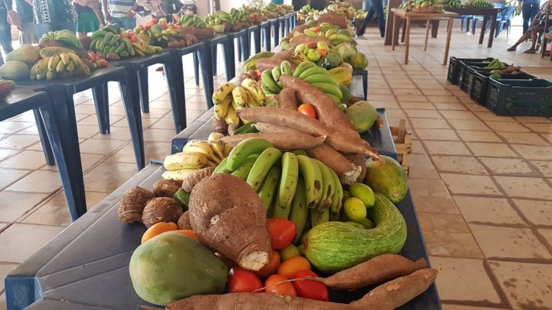 Rolim de Moura – Mais 80 famílias carentes são beneficiadas com frutas, verduras e legumes
