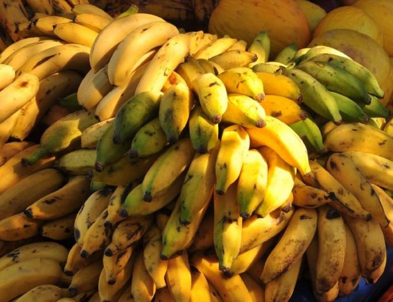 Dificuldades com transporte e armazenamento encarecem o preço da banana em RO