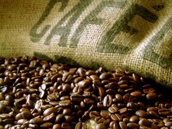 Rondônia: Safra de café tem estimativa de aumento de 6% na produção 