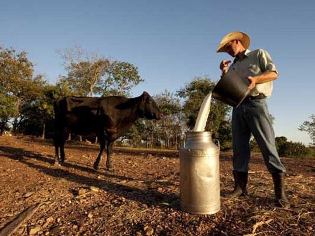 O tempo vai passando e a crise do leite se agrava para os produtores