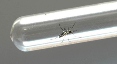 Dengue matou 10 rondonienses a mais que em 2021; casos confirmados tiveram alta de 558%
