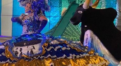 Boi-bumbá Malhadinho vence Festival Folclórico de Guajará-Mirim