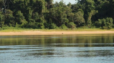 Governo de Rondônia viabiliza ações para regularizar terras públicas da União