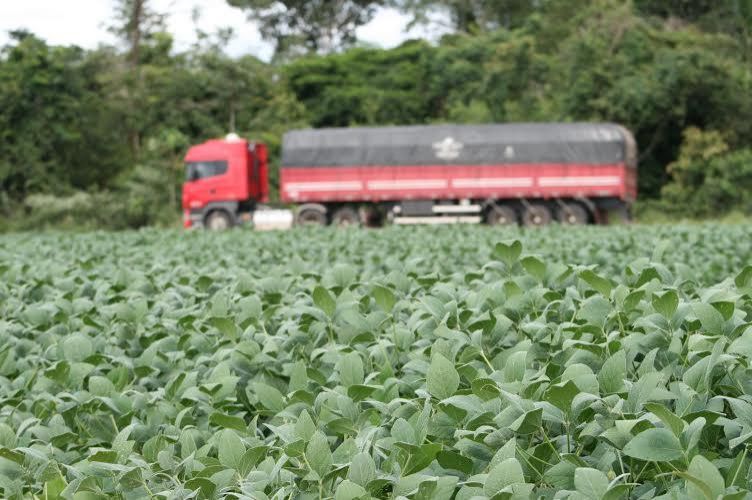 Governo vai publicar novo prazo para calendário de plantio de soja no Estado