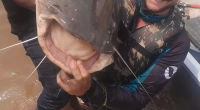 Pescador cumpre promessa e fisga peixe 'maior que a filha' em rio de Rondônia