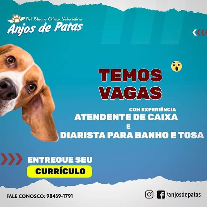 Oportunidade de Emprego