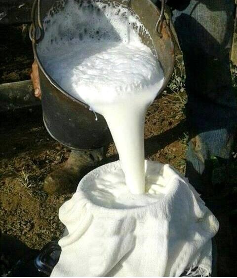 O tempo vai passando e a crise do leite se agrava para os produtores