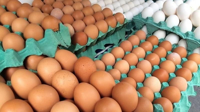 Exportações de ovos mantém alta de 142,5%