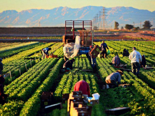 Agropecuária brasileira é reconhecida por sua sustentabilidade