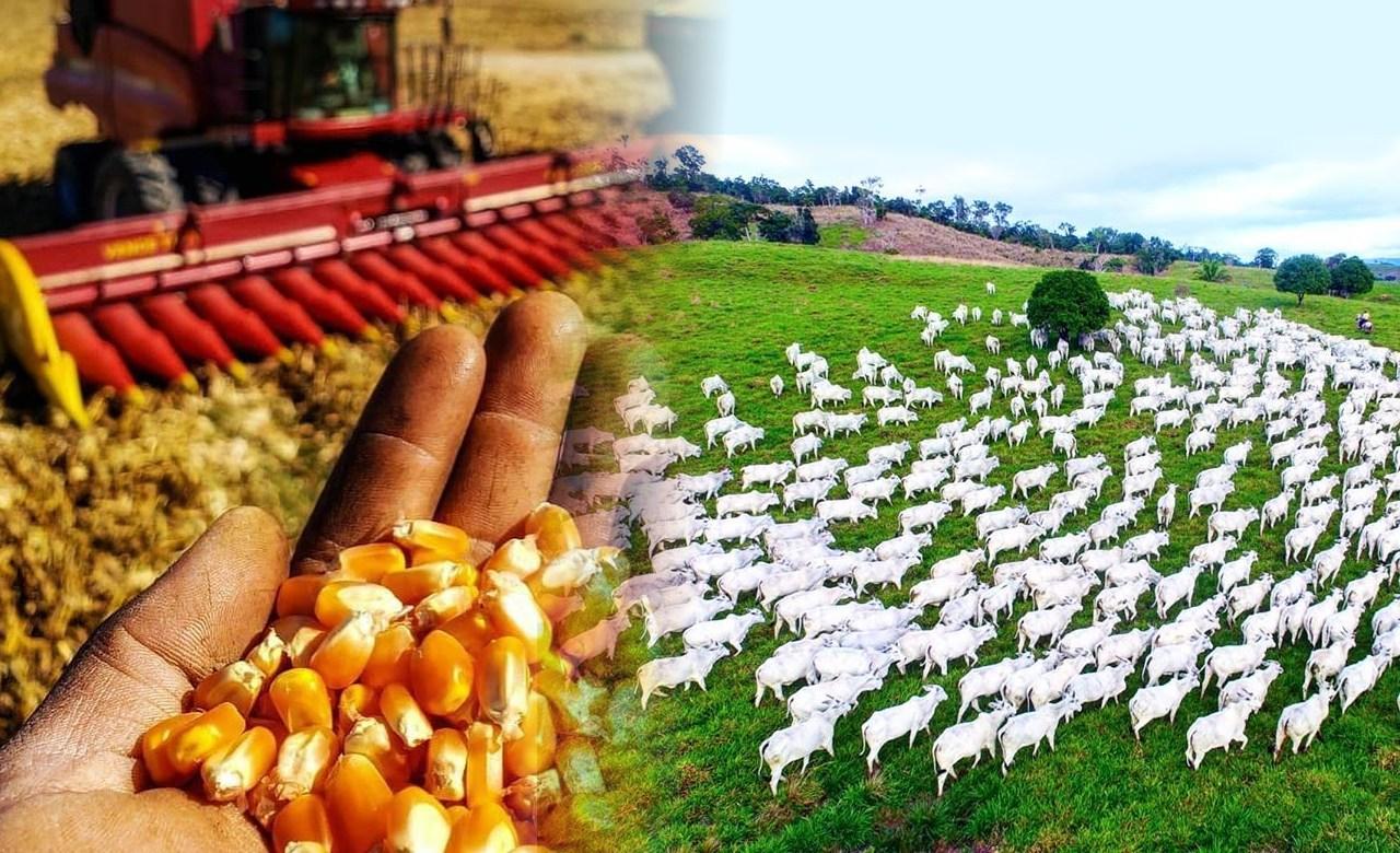 Agropecuária brasileira é reconhecida por sua sustentabilidade