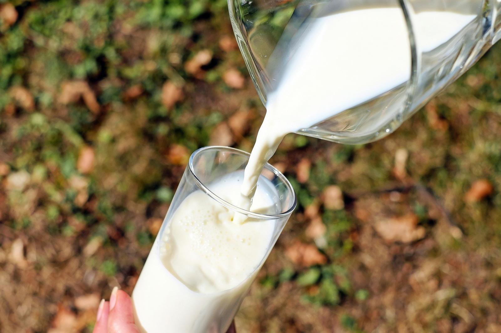 México abre mercado para exportações brasileiras de leite