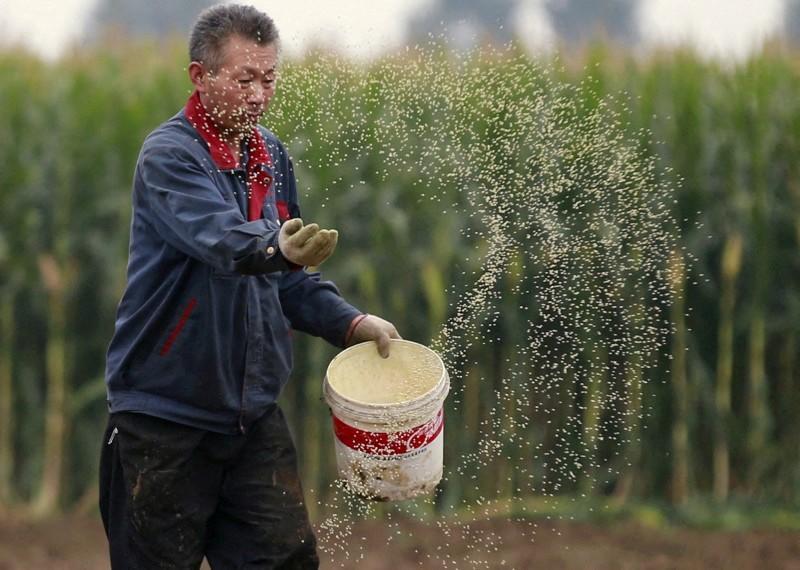 Maior região produtora de soja da China vai aumentar área plantada em 2022