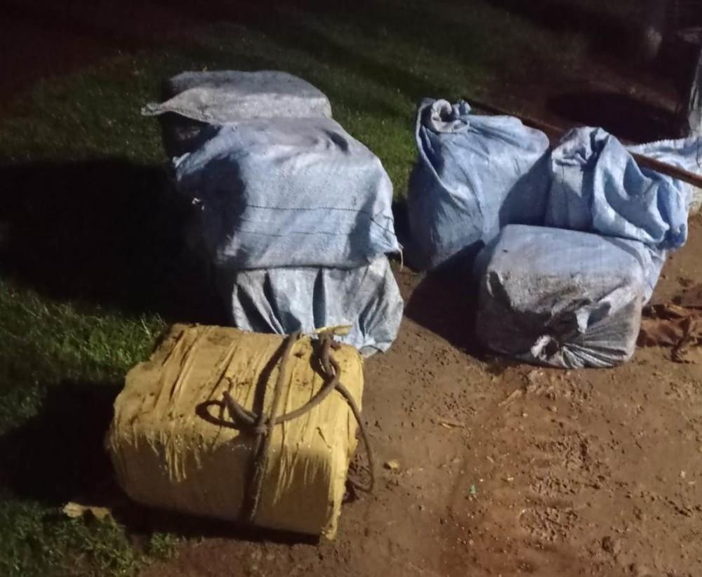Polícia aprende 400 kg de drogas em sacos e caixas com selo da Covid-19 na mata, em Alta Floresta, RO