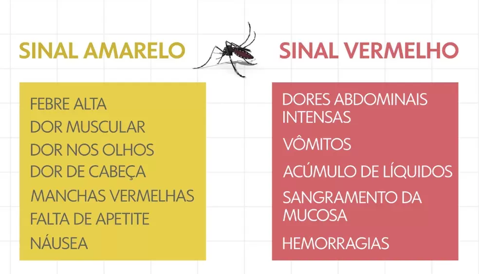 Em surto de dengue, Rondônia teve oito mortes pela doença em 2023, aponta relatório da Agevisa Em surto de dengue, Rondônia teve oito mortes pela doença em 2023, aponta relatório da Agevisa