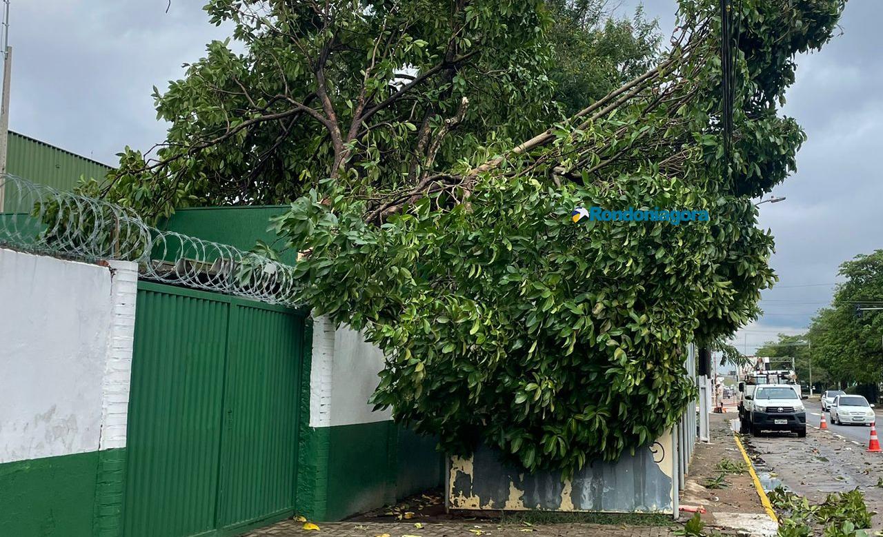 Temporal na capital também destelhou casas e derrubou muros e paredes Temporal na capital também destelhou casas e derrubou muros e paredes
