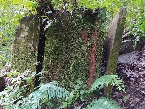 Descoberta revela vestígios de civilização antiga na zona da mata em Rondônia