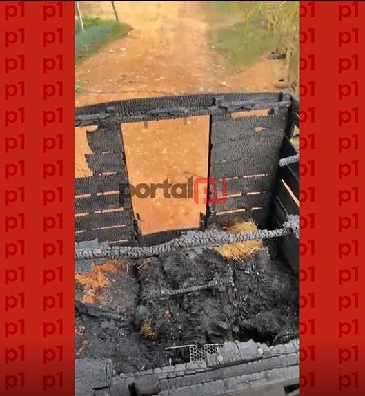 Vídeo: Égua avaliada em R$ 120 mil reais morre após caminhão pegar fogo na BR-364 entre Jaru e Ariquemes, RO Vídeo: Égua avaliada em R$ 120 mil reais morre após caminhão pegar fogo na BR-364 entre Jaru e Ariquemes, RO