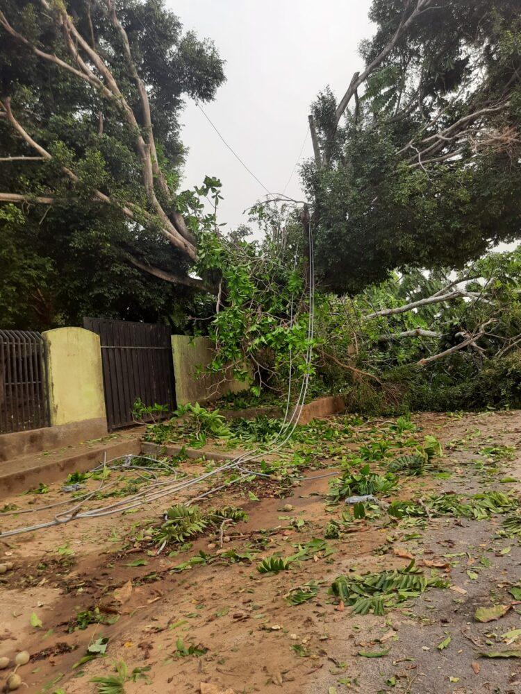 Temporal com chuva em Ji-Paraná deixa rastro de destruição