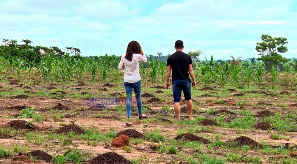A história de superação da família Hel após ataque a lavoura de café em Novo Horizonte A história de superação da família Hel após ataque a lavoura de café em Novo Horizonte