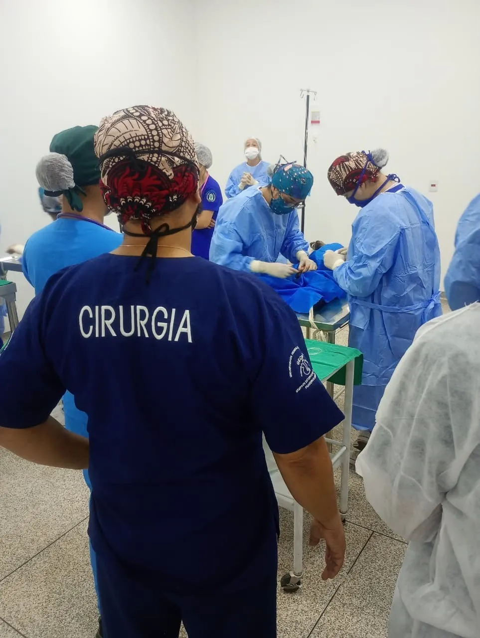 Rolim: Mutirão de castração da UNIR atende 48 animais
